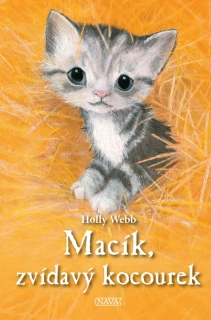 Macík, zvídavý kocourek